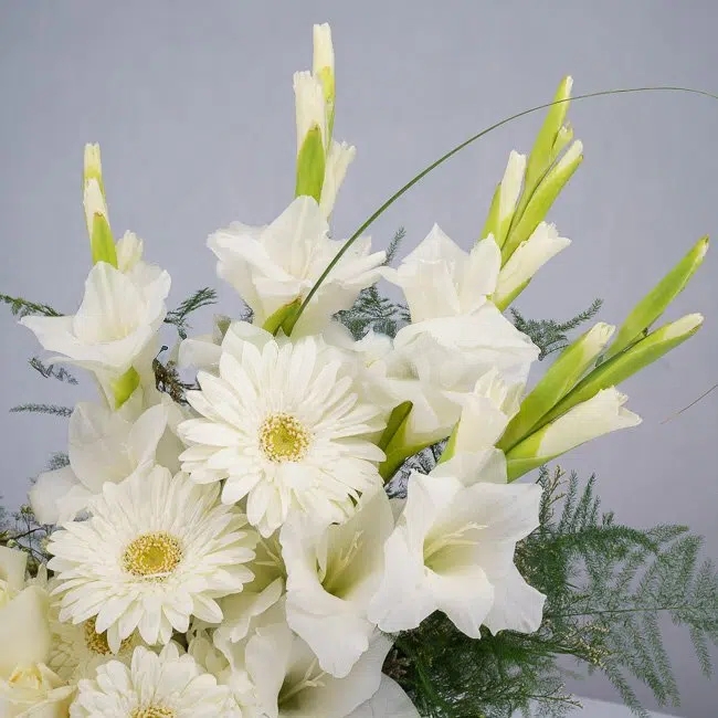 باکس گل تبریک هدیه عاشقانه تولد ارسال رایگان زیبا لاکچری ارسال فوری سریع گل فروشی آنلاین گل فروشی گلیف