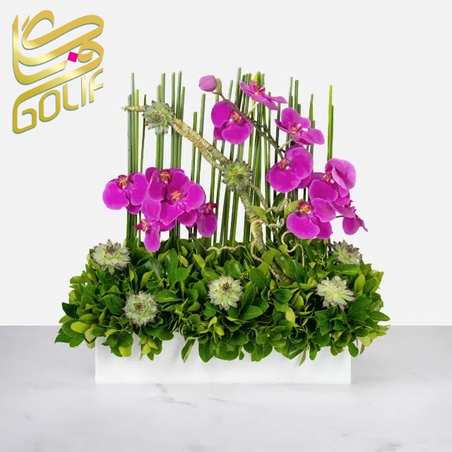 سبد گل (Flower Basket) سبد گل تبریک سبد گل تسلیت سبد گل عروس سبد گل نوزاد سبد گل ولنتاین سبد گل روز مادر سبد گل با گل‌های رز سبد گل با گل‌های نرگس سبد گل با گل‌های میخک سبد گل با گل‌های ژیپسوفیل