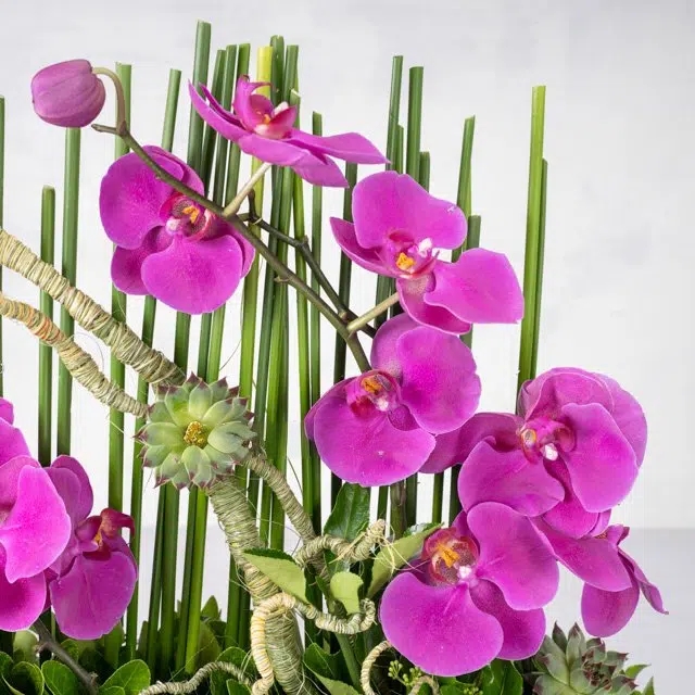 سبد گل (Flower Basket) سبد گل تبریک سبد گل تسلیت سبد گل عروس سبد گل نوزاد سبد گل ولنتاین سبد گل روز مادر سبد گل با گل‌های رز سبد گل با گل‌های نرگس سبد گل با گل‌های میخک سبد گل با گل‌های ژیپسوفیل