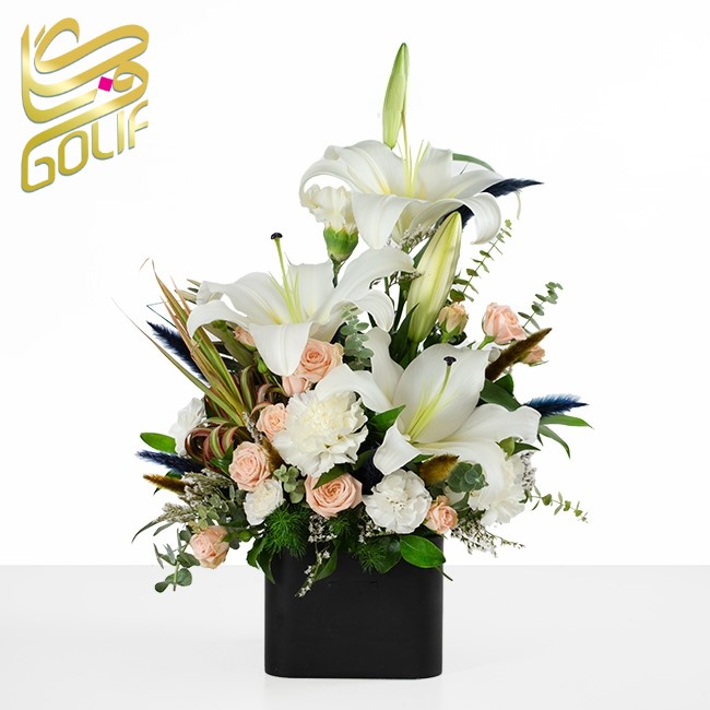 فروش آنلاین گل در گلِیف خرید دسته گل آنلاین ارسال رایگان گل در تهران سفارش تاج گل با ارسال رایگان فروش سبد گل تازه آنلاین گل‌فروشی آنلاین با ارسال فوری خرید گل طبیعی و تازه با ارسال رایگان گل‌های مناسبتی با ارسال رایگان خرید آنلاین گل برای تولد خرید گل مناسب هدیه آنلاین گلِیف، گل‌فروشی اینترنتی معتبر ارسال سریع دسته گل عروس سفارش گل آنلاین با تحویل درب منزل خرید گل با بسته‌بندی شیک و ارسال رایگان ارسال رایگان تاج گل برای مراسم فروشگاه آنلاین گل و گیاه با ارسال رایگان گل‌فروشی آنلاین ارزان با ارسال رایگان سفارش آنلاین گل برای مراسم ختم گل تازه با ارسال رایگان در تهران و کرج گلِیف، بهترین گل‌فروشی آنلاین با ارسال رایگان