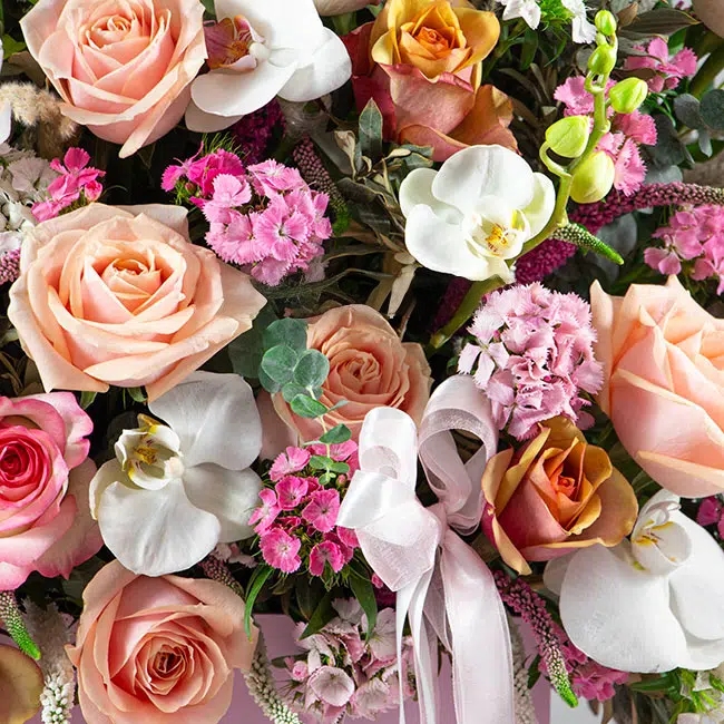 فروش آنلاین گل در گلِیف خرید دسته گل آنلاین ارسال رایگان گل در تهران سفارش تاج گل با ارسال رایگان فروش سبد گل تازه آنلاین گل‌فروشی آنلاین با ارسال فوری خرید گل طبیعی و تازه با ارسال رایگان گل‌های مناسبتی با ارسال رایگان خرید آنلاین گل برای تولد خرید گل مناسب هدیه آنلاین گلِیف، گل‌فروشی اینترنتی معتبر ارسال سریع دسته گل عروس سفارش گل آنلاین با تحویل درب منزل خرید گل با بسته‌بندی شیک و ارسال رایگان ارسال رایگان تاج گل برای مراسم فروشگاه آنلاین گل و گیاه با ارسال رایگان گل‌فروشی آنلاین ارزان با ارسال رایگان سفارش آنلاین گل برای مراسم ختم گل تازه با ارسال رایگان در تهران و کرج گلِیف، بهترین گل‌فروشی آنلاین با ارسال رایگان