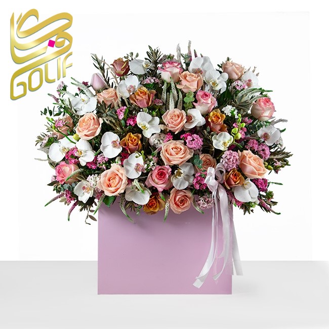 فروش آنلاین گل در گلِیف خرید دسته گل آنلاین ارسال رایگان گل در تهران سفارش تاج گل با ارسال رایگان فروش سبد گل تازه آنلاین گل‌فروشی آنلاین با ارسال فوری خرید گل طبیعی و تازه با ارسال رایگان گل‌های مناسبتی با ارسال رایگان خرید آنلاین گل برای تولد خرید گل مناسب هدیه آنلاین گلِیف، گل‌فروشی اینترنتی معتبر ارسال سریع دسته گل عروس سفارش گل آنلاین با تحویل درب منزل خرید گل با بسته‌بندی شیک و ارسال رایگان ارسال رایگان تاج گل برای مراسم فروشگاه آنلاین گل و گیاه با ارسال رایگان گل‌فروشی آنلاین ارزان با ارسال رایگان سفارش آنلاین گل برای مراسم ختم گل تازه با ارسال رایگان در تهران و کرج گلِیف، بهترین گل‌فروشی آنلاین با ارسال رایگان