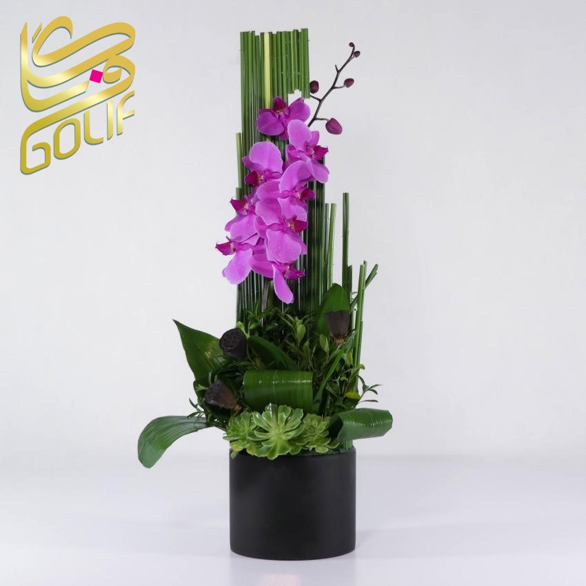 فروش آنلاین گل در گلِیف خرید دسته گل آنلاین ارسال رایگان گل در تهران سفارش تاج گل با ارسال رایگان فروش سبد گل تازه آنلاین گل‌فروشی آنلاین با ارسال فوری خرید گل طبیعی و تازه با ارسال رایگان گل‌های مناسبتی با ارسال رایگان خرید آنلاین گل برای تولد خرید گل مناسب هدیه آنلاین گلِیف، گل‌فروشی اینترنتی معتبر ارسال سریع دسته گل عروس سفارش گل آنلاین با تحویل درب منزل خرید گل با بسته‌بندی شیک و ارسال رایگان ارسال رایگان تاج گل برای مراسم فروشگاه آنلاین گل و گیاه با ارسال رایگان گل‌فروشی آنلاین ارزان با ارسال رایگان سفارش آنلاین گل برای مراسم ختم گل تازه با ارسال رایگان در تهران و کرج تاج گل golif گلیف سبد گل دسته گل زیبا لاکچری شیک ارسال فوری رایگان سریع تهران کرج گلِیف، بهترین گل‌فروشی آنلاین با ارسال رایگان golif گلیف