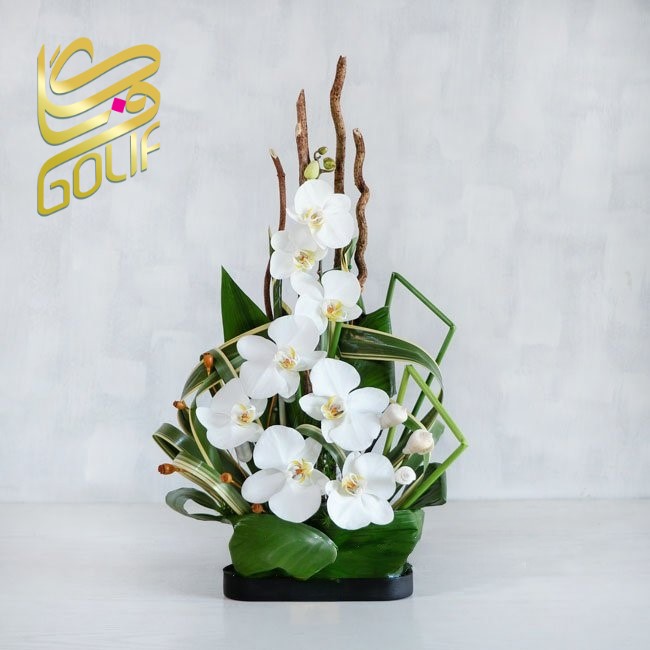 فروش آنلاین گل در گلِیف خرید دسته گل آنلاین ارسال رایگان گل در تهران سفارش تاج گل با ارسال رایگان فروش سبد گل تازه آنلاین گل‌فروشی آنلاین با ارسال فوری خرید گل طبیعی و تازه با ارسال رایگان گل‌های مناسبتی با ارسال رایگان خرید آنلاین گل برای تولد خرید گل مناسب هدیه آنلاین گلِیف، گل‌فروشی اینترنتی معتبر ارسال سریع دسته گل عروس سفارش گل آنلاین با تحویل درب منزل خرید گل با بسته‌بندی شیک و ارسال رایگان ارسال رایگان تاج گل برای مراسم فروشگاه آنلاین گل و گیاه با ارسال رایگان گل‌فروشی آنلاین ارزان با ارسال رایگان سفارش آنلاین گل برای مراسم ختم گل تازه با ارسال رایگان در تهران و کرج تاج گل golif گلیف سبد گل دسته گل زیبا لاکچری شیک ارسال فوری رایگان سریع تهران کرج گلِیف، بهترین گل‌فروشی آنلاین با ارسال رایگان golif گلیف