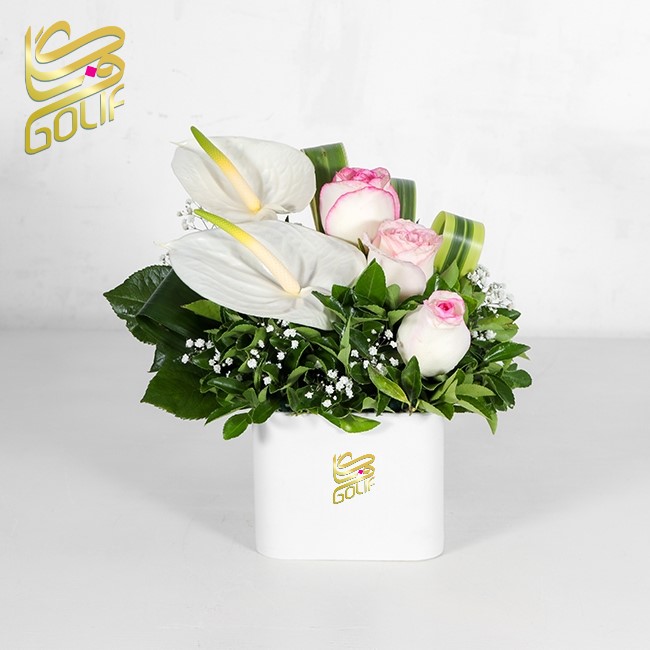 باکس گل تبریک هدیه عاشقانه تولد ارسال رایگان زیبا لاکچری ارسال فوری سریع گل فروشی آنلاین گل فروشی گلیف جعبه گل زیبا لاکچری آنترویم لیلیوم ارکیده