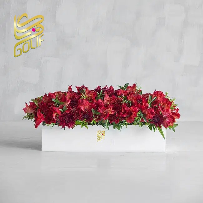 باکس گل تبریک هدیه عاشقانه تولد ارسال رایگان زیبا لاکچری ارسال فوری سریع گل فروشی آنلاین گل فروشی گلیف جعبه گل زیبا لاکچری آنترویم لیلیوم ارکیده