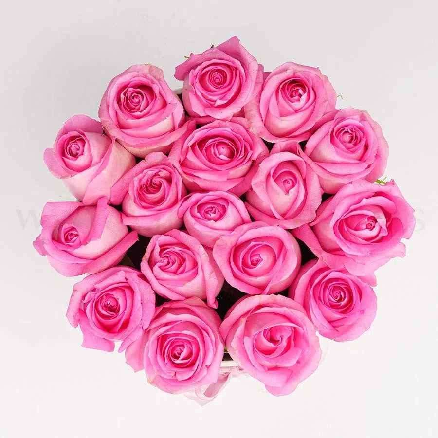 باکس گل تبریک هدیه عاشقانه تولد ارسال رایگان زیبا لاکچری ارسال فوری سریع گل فروشی آنلاین گل فروشی گلیف