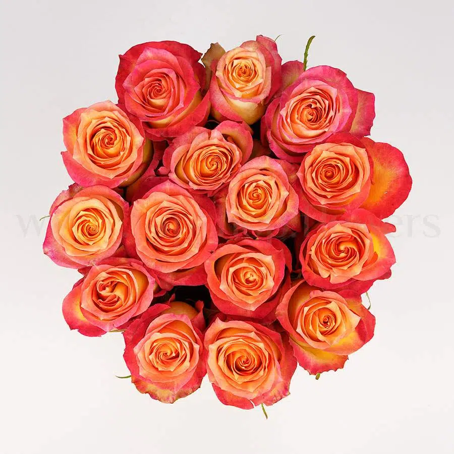 باکس گل تبریک هدیه عاشقانه تولد ارسال رایگان زیبا لاکچری ارسال فوری سریع گل فروشی آنلاین گل فروشی گلیف